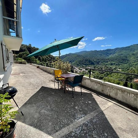 Gite Le Tour 45 M2 Cevennes Lozere Le Collet-de-Dèze Exterior foto